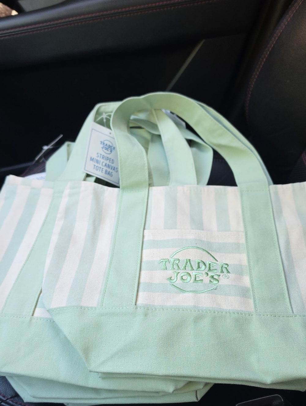 1-TJ' S Mint Green Striped Canvas Tote Bag